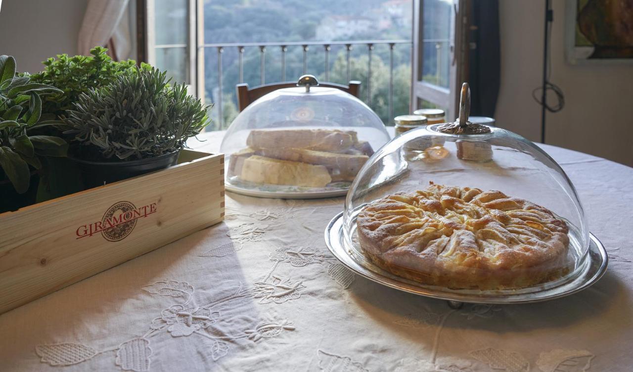 Locanda Degli Alberi Sassetta Eksteriør billede