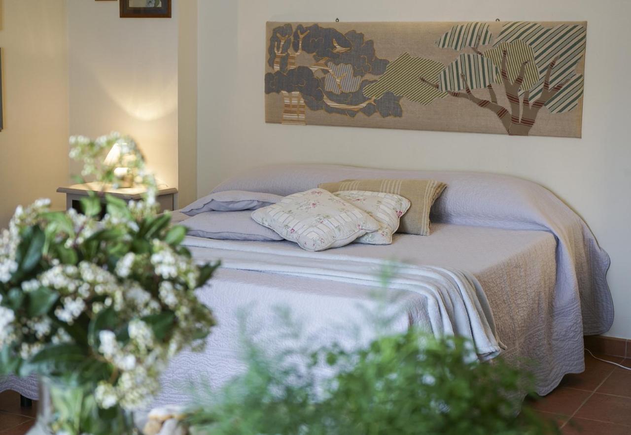 Locanda Degli Alberi Sassetta Eksteriør billede